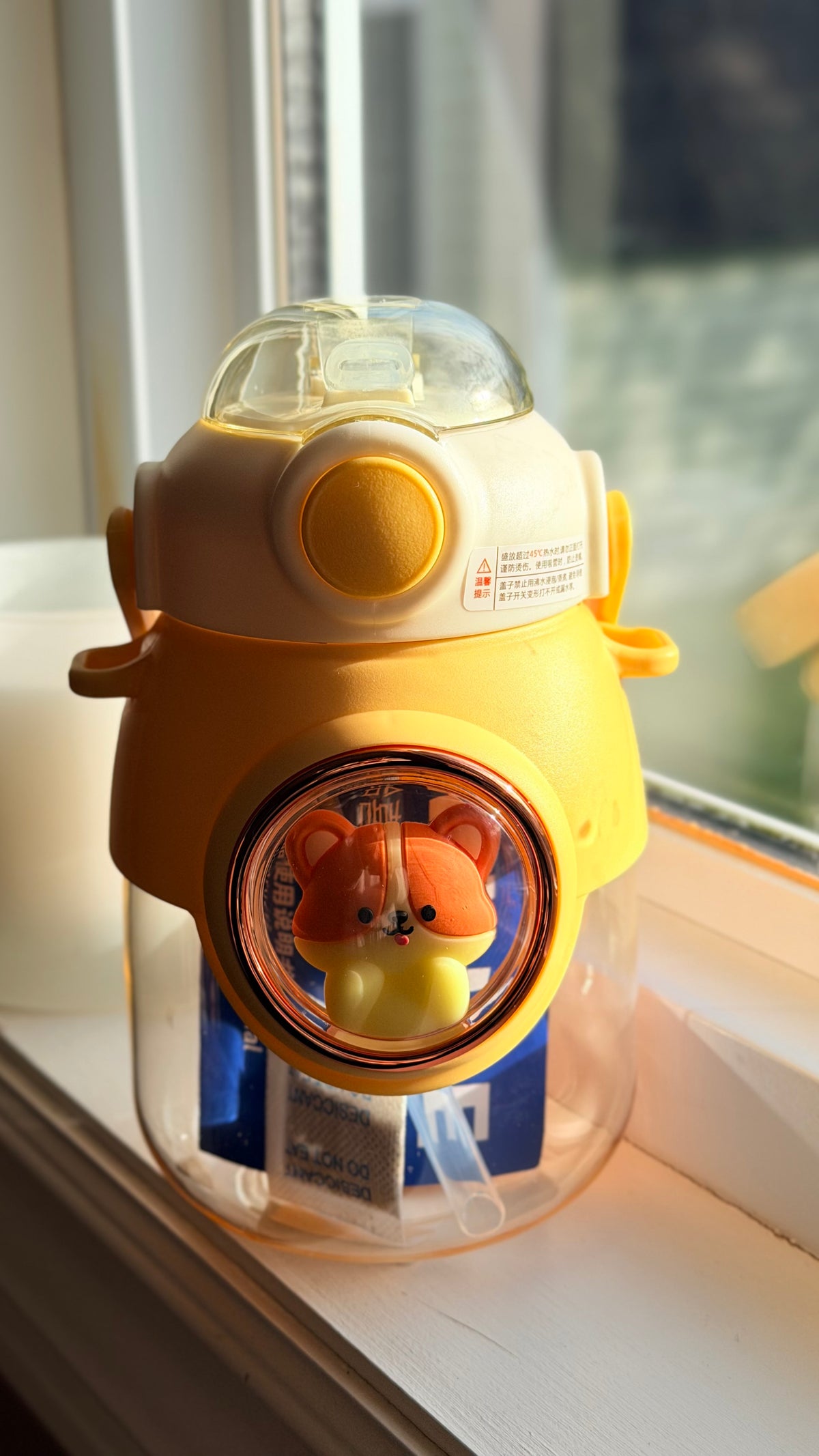 adorable cartoon water bottles