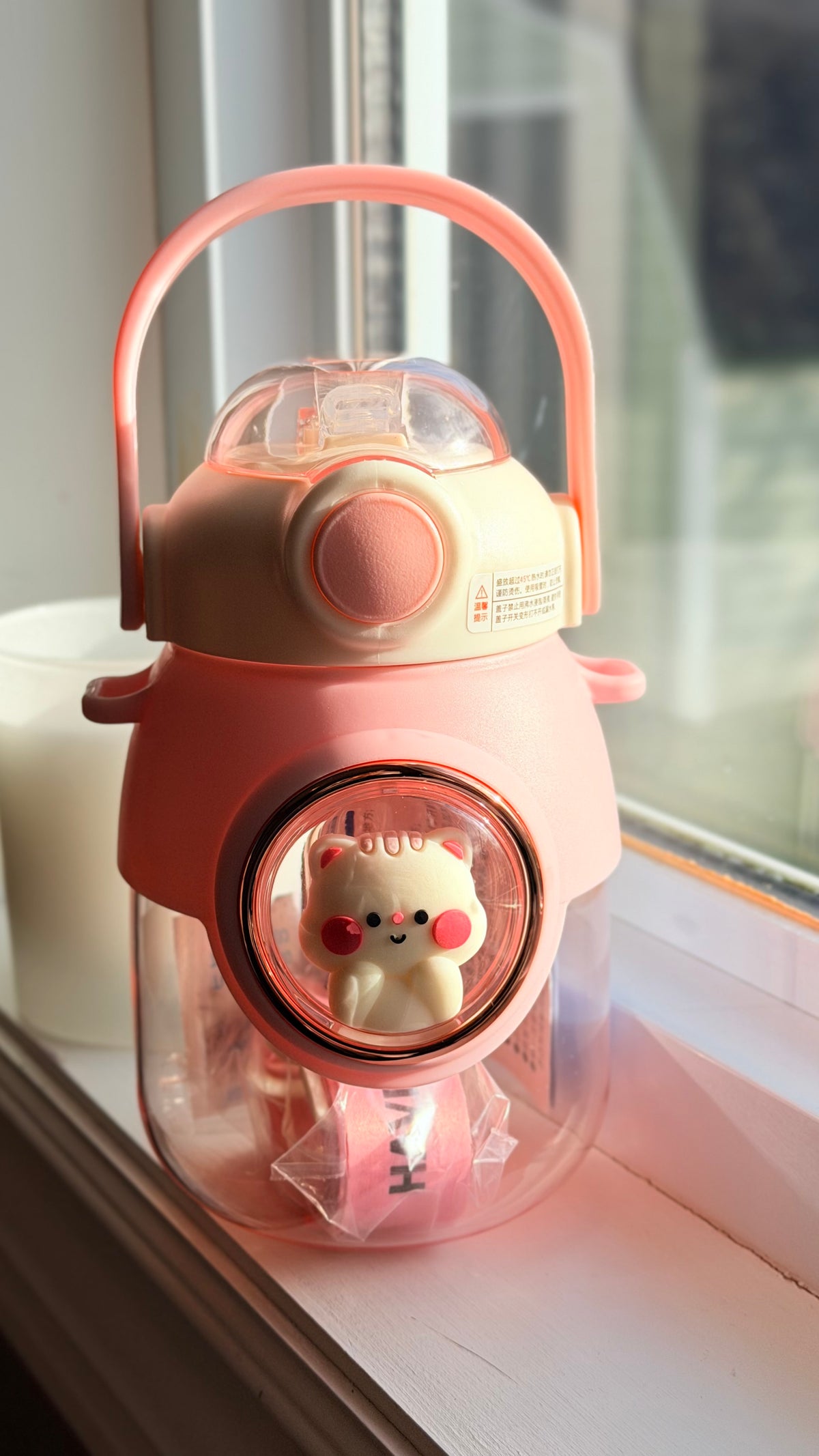 adorable cartoon water bottles